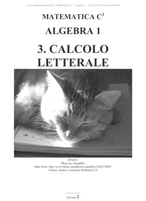 Espressioni Letterali e Numeri