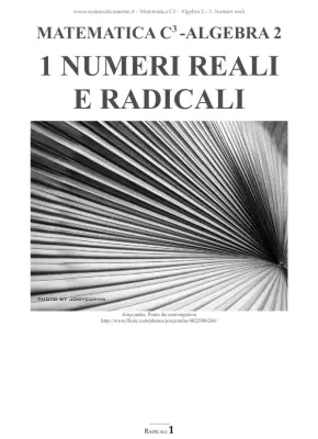 Numeri REALI e RADICALI - Algebra 2