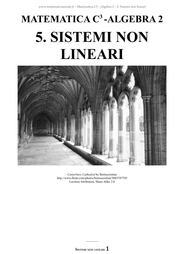 5-Sistemi non lineari