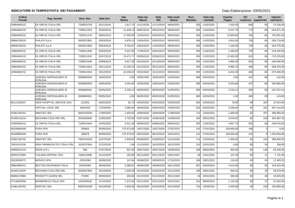 Totale importo pagato Totale importo indicatore