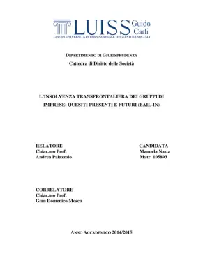 Insolvenza Transfrontaliera: Gruppi di Imprese