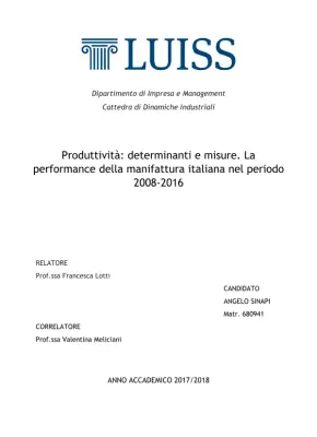 La produttività italiana nel periodo 2008-2016: determinanti e misure