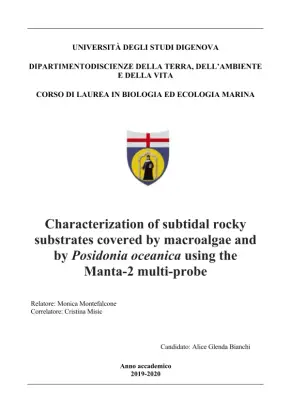 Characterization of Subtidal Rocky Substrates in Marine Environments using the Manta-2 Multi-Probe