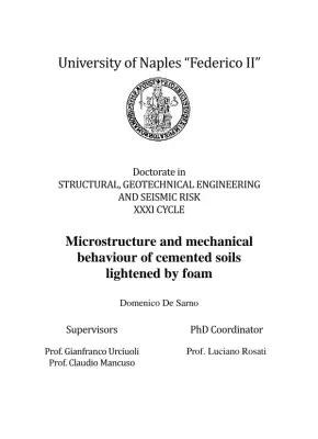 Microstructure and Mechanical Behaviour of Cemented Soils Lightened by Foam