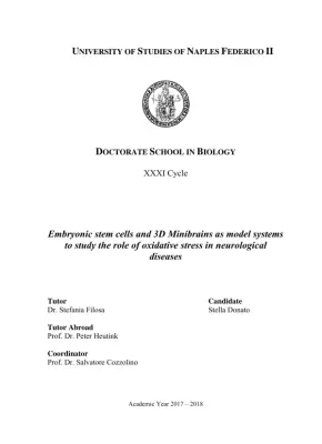 Investigating the Role of Oxidative Stress in Neurological Diseases using Embryonic Stem Cells and 3D Minibrains