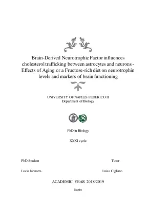 The Influence of Brain-Derived Neurotrophic Factor on Cholesterol Trafficking and Neurotrophin Levels in the Brain