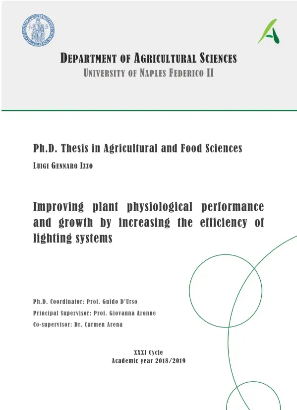 Improving Plant Physiological Performance and Growth through Efficient Lighting Systems
